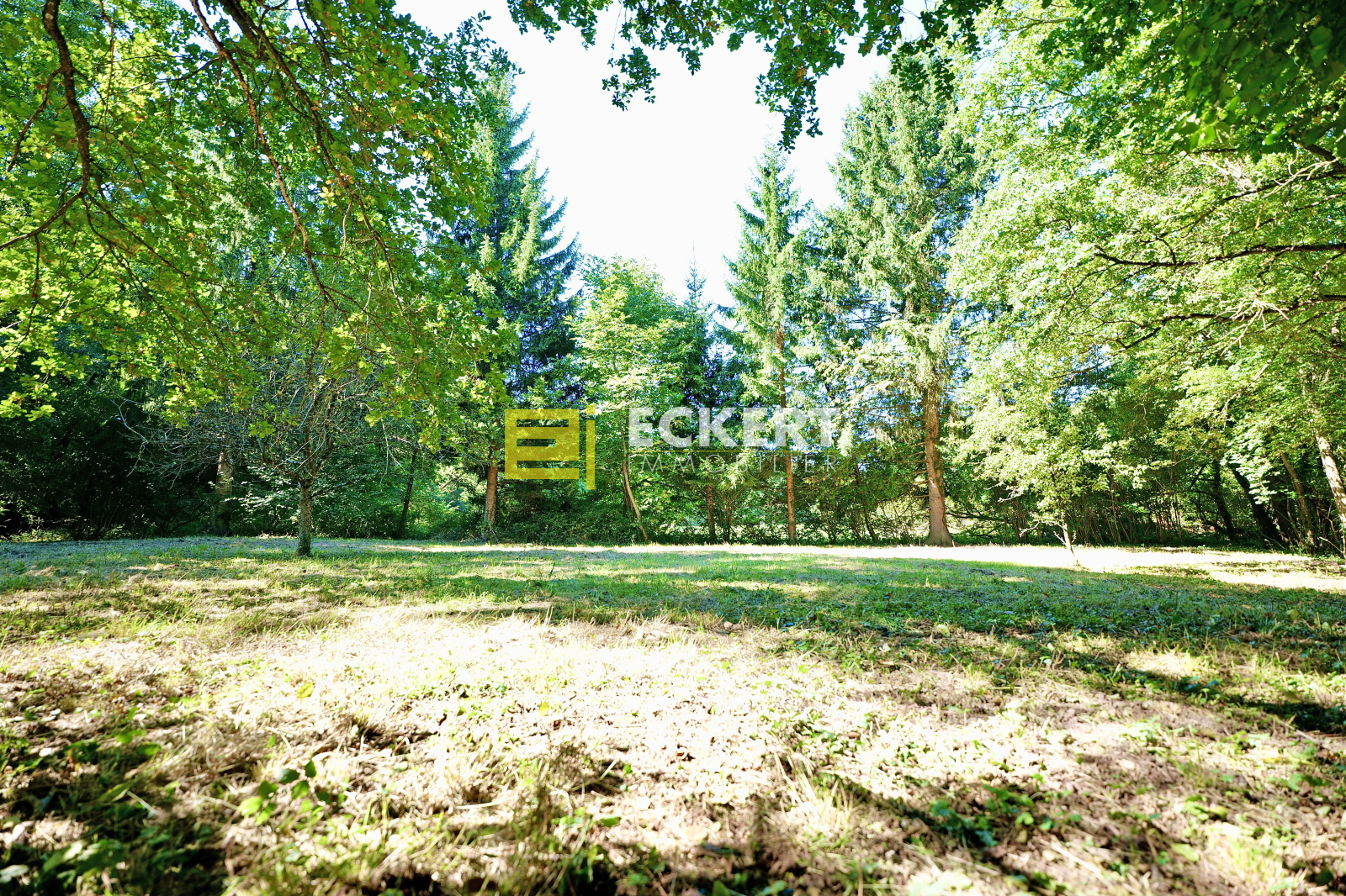 Image_, Maison, Oberhaslach, ref :1232025