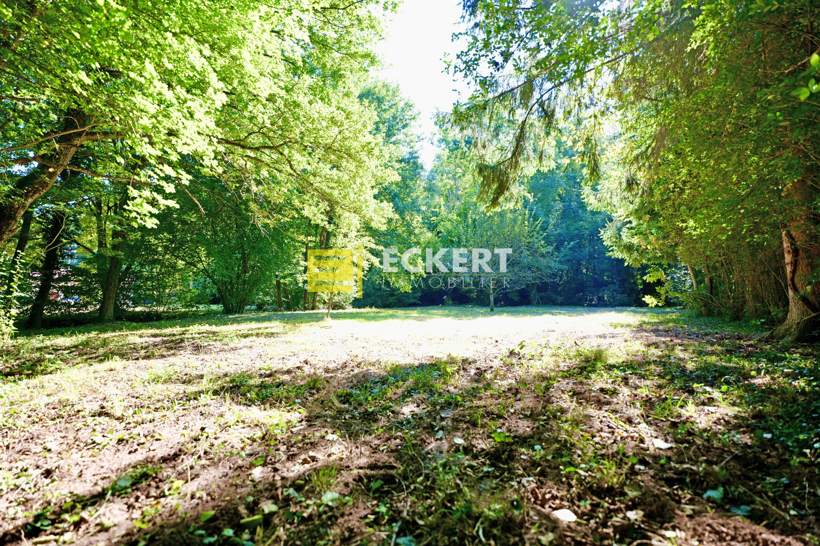 Image_, Maison, Oberhaslach, ref :1232025