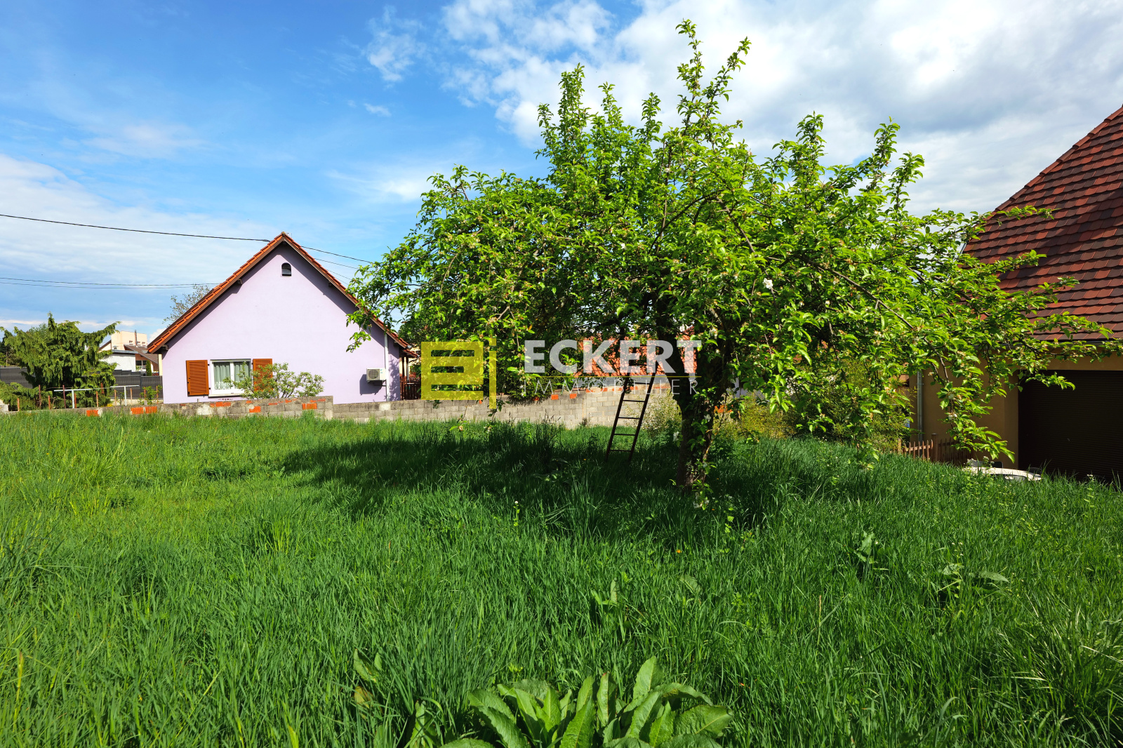 Image_, Terrain, Rosheim, ref :432025