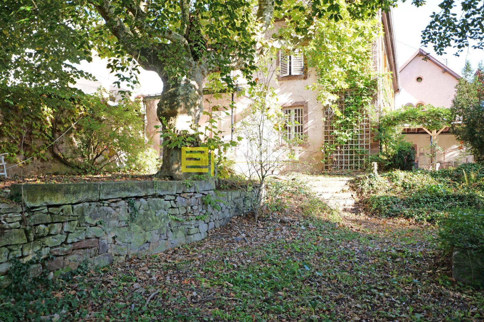 Image_, Maison, Wolxheim, ref :116/2025