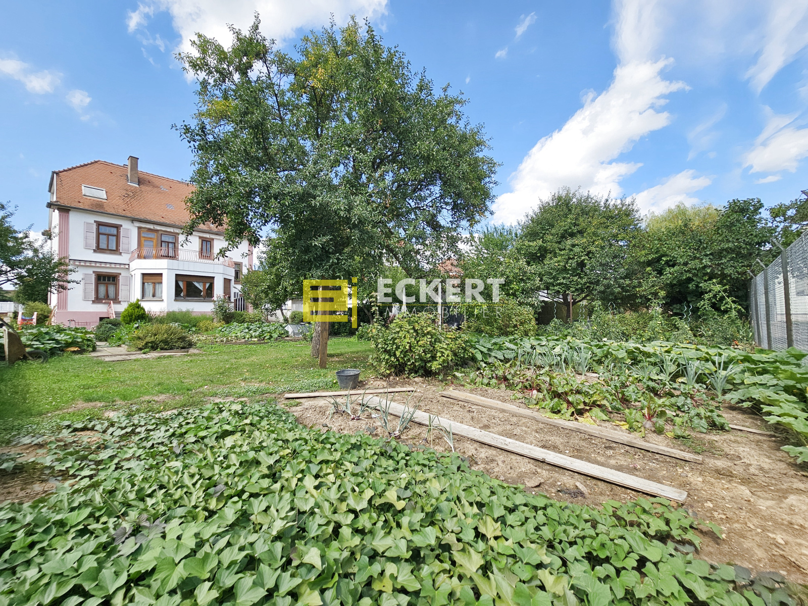 Image_, Maison, Lingolsheim, ref :392025
