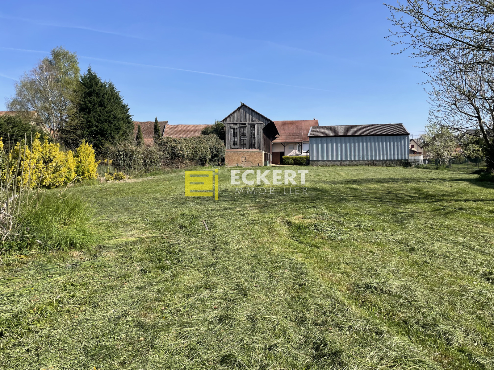 Image_, Terrain, Lipsheim, ref :63/25