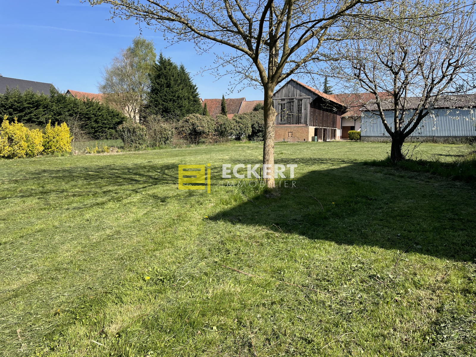 Image_, Terrain, Lipsheim, ref :63/25