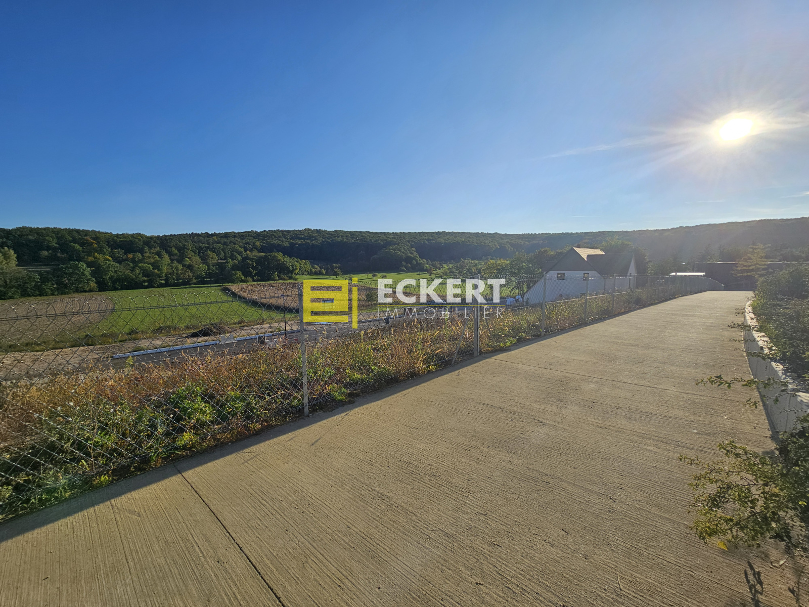 Image_, Terrain, Rosenwiller, ref :3224lot2