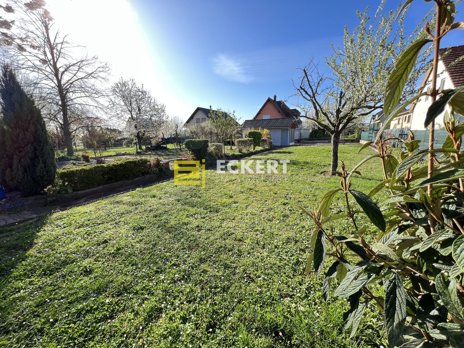 Image_, Maison, Molsheim, ref :dorlidupl
