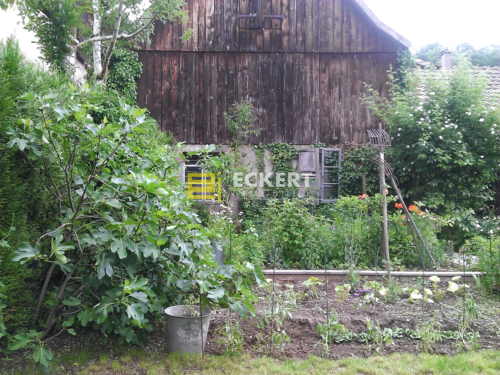 Image_, Maison, Andlau, ref :103 / 25