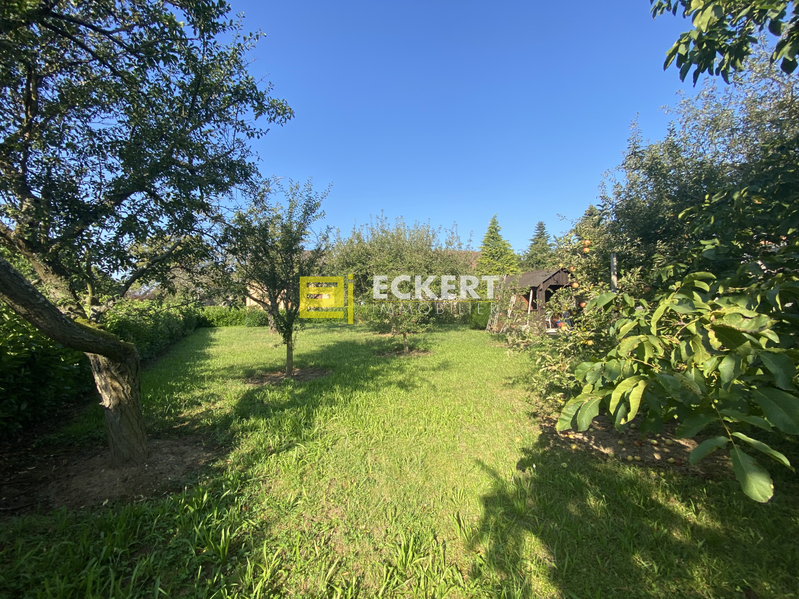 Image_, Maison, Rosheim, ref :6325