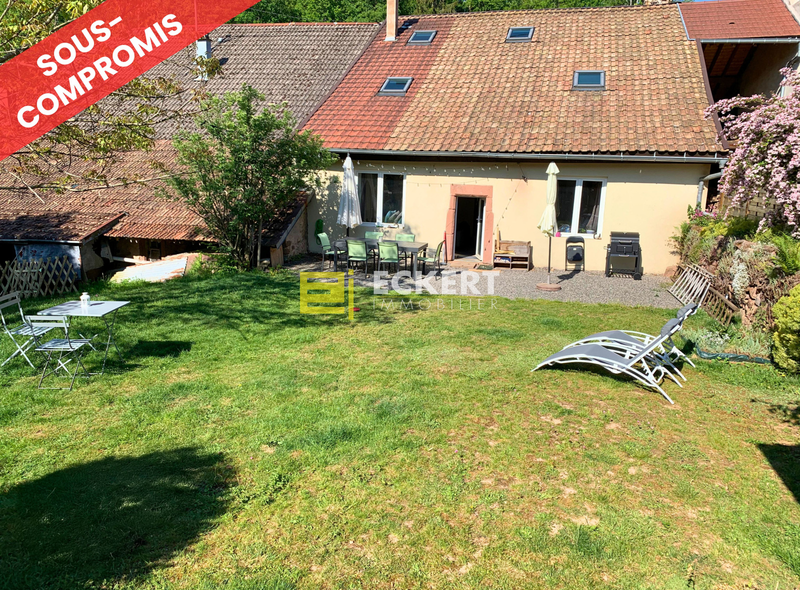 Image_, Maison, Plaine, ref :016/2025