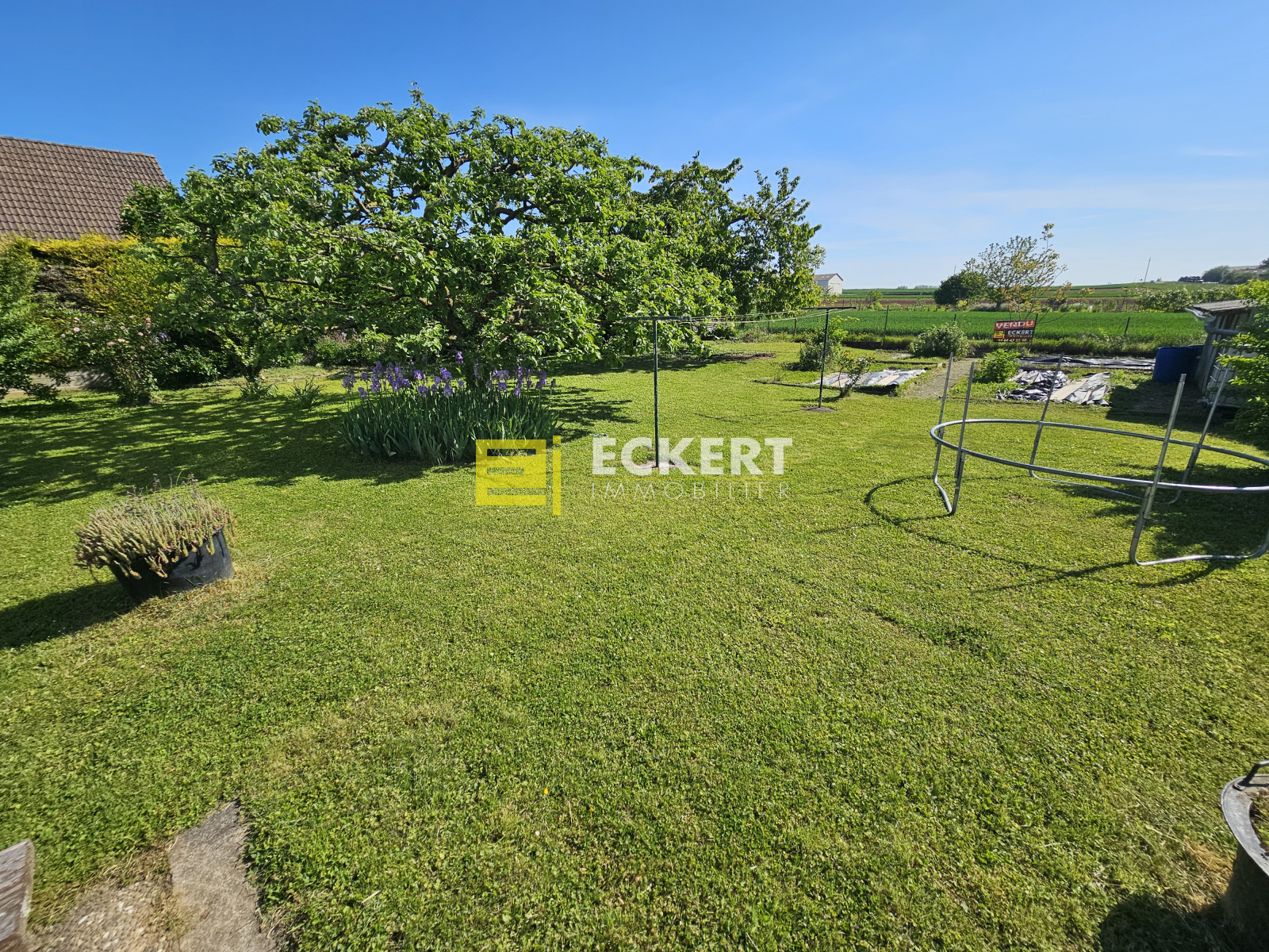 Image_, Maison, Saessolsheim, ref :0082025