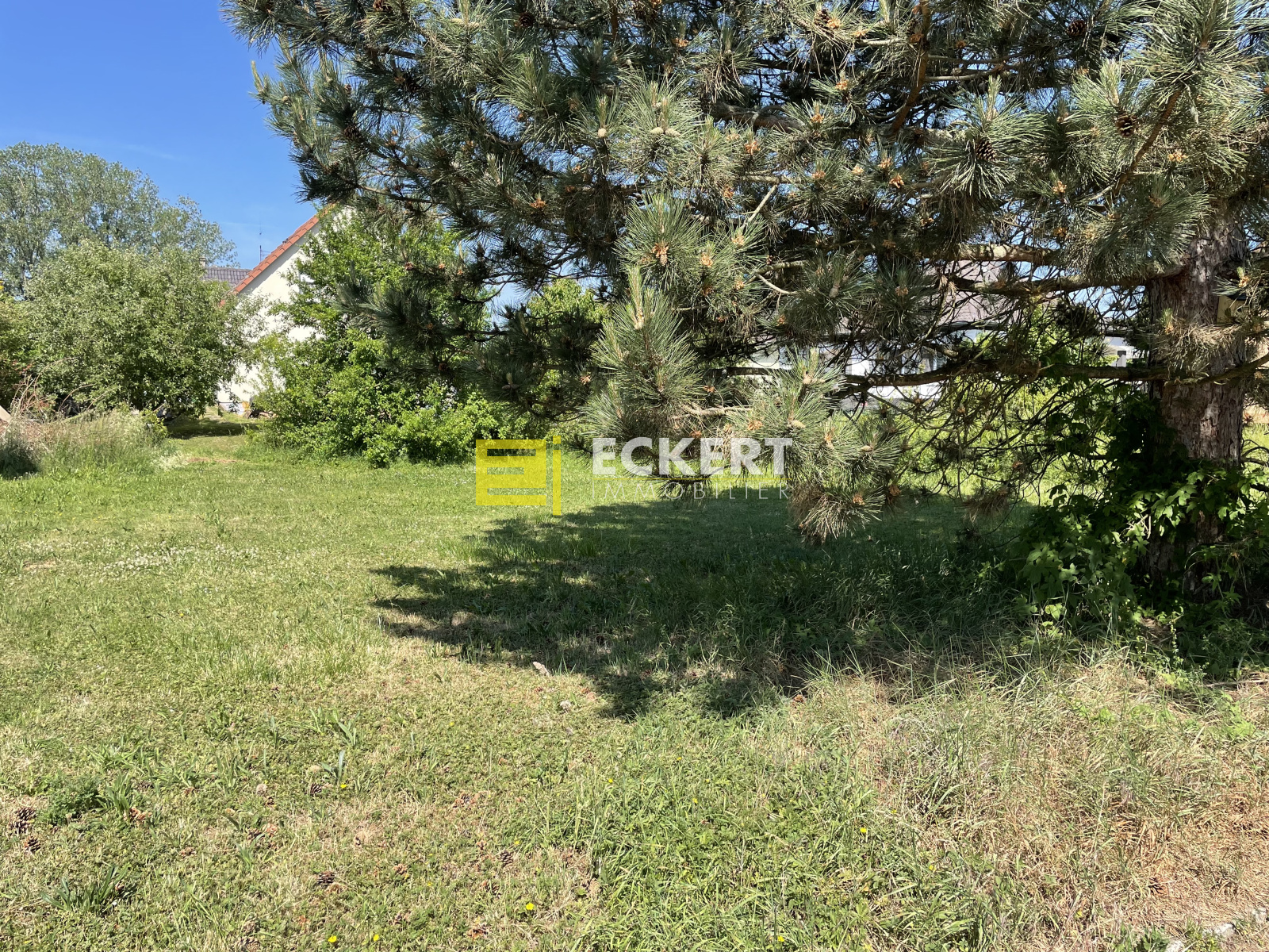 Image_, Terrain, Plobsheim, ref :4525