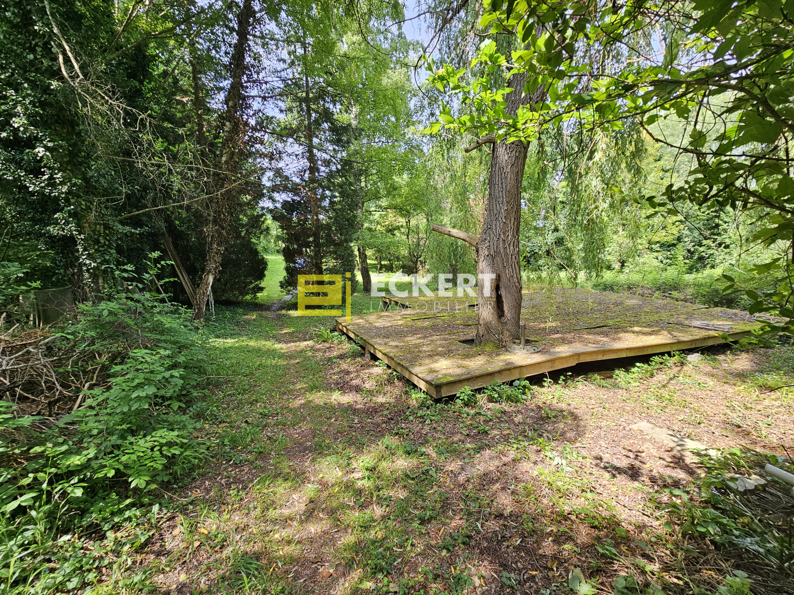 Image_, Terrain, Rosenwiller, ref :76 / 25