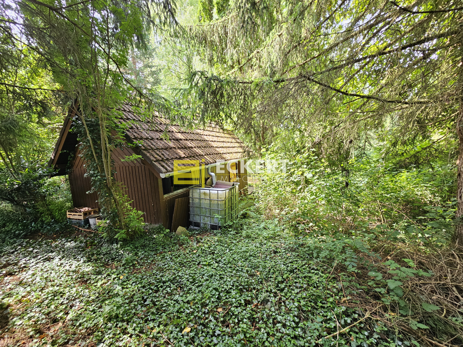 Image_, Terrain, Rosenwiller, ref :76 / 25