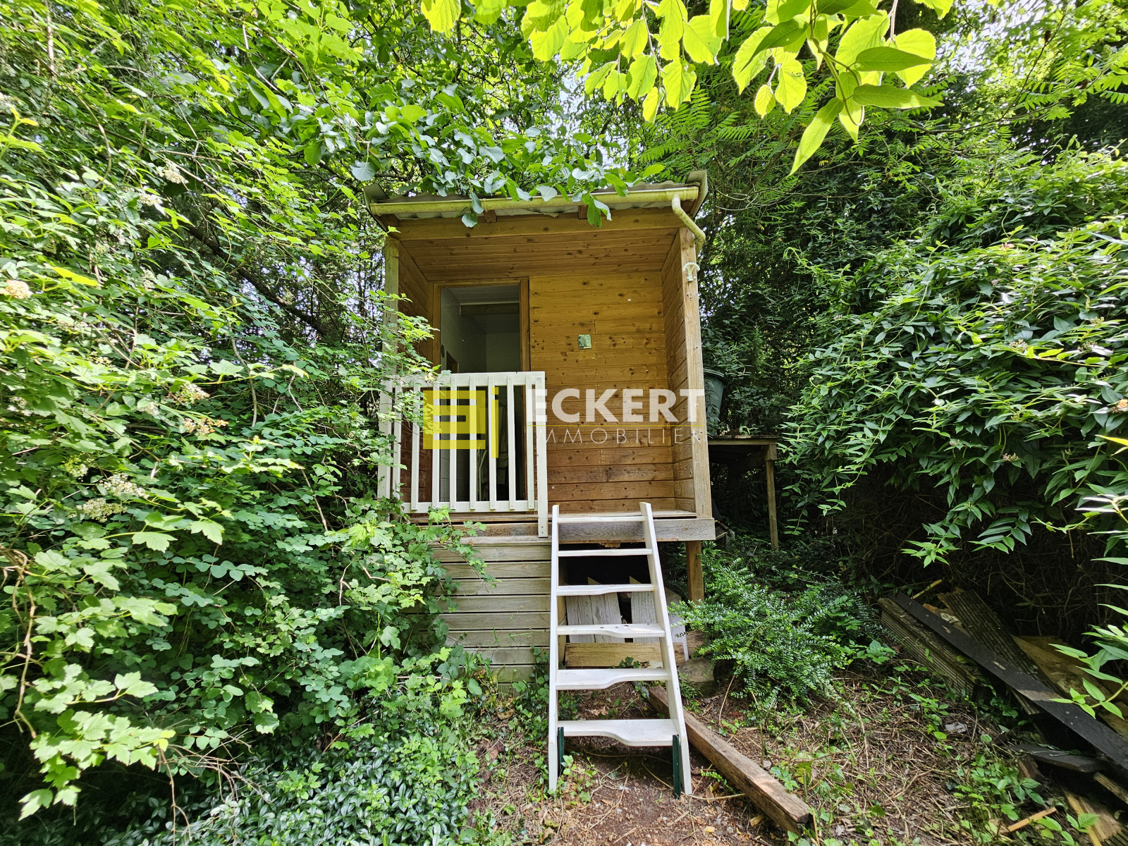Image_, Terrain, Rosenwiller, ref :76 / 25