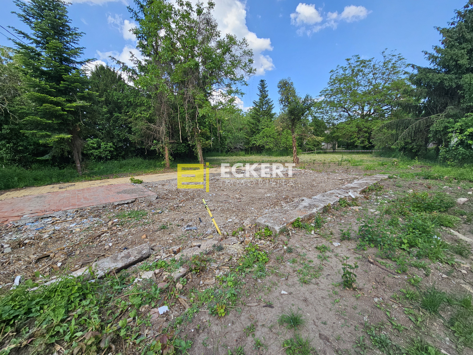 Image_, Terrain, Mutzig, ref :12824