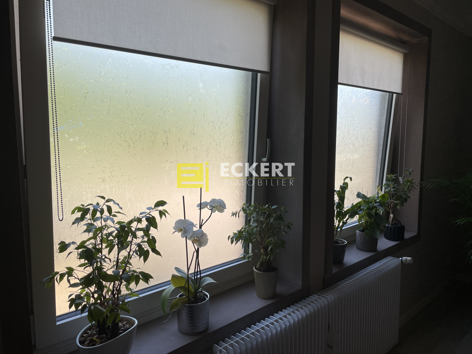 Image_, Maison, Dingsheim, ref :78/25
