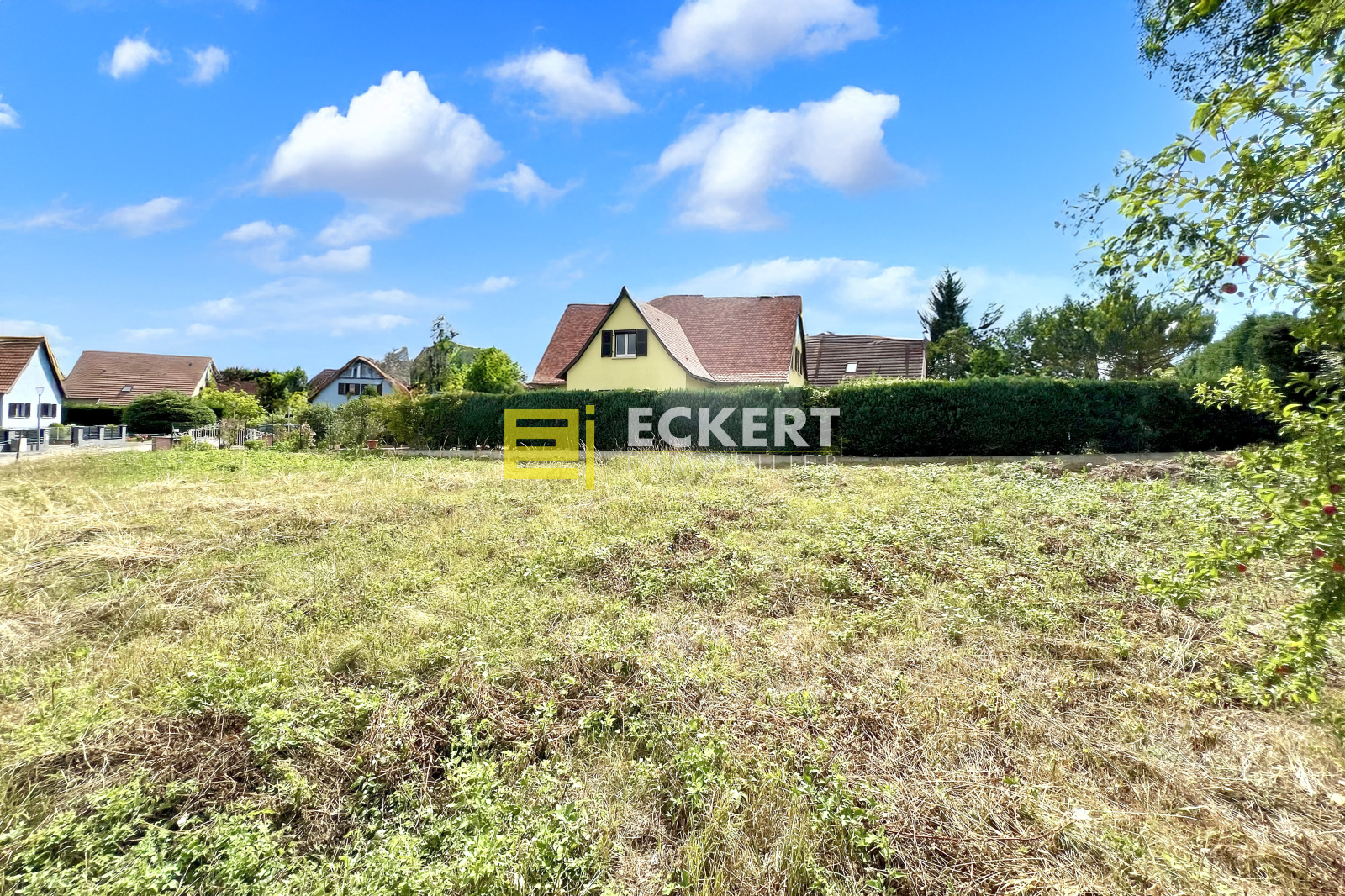 Image_, Terrain, Molsheim, ref :8025