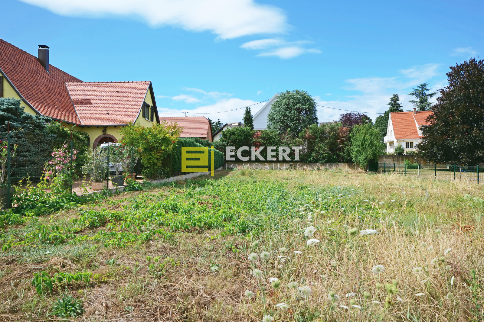 Image_, Terrain, Molsheim, ref :8025