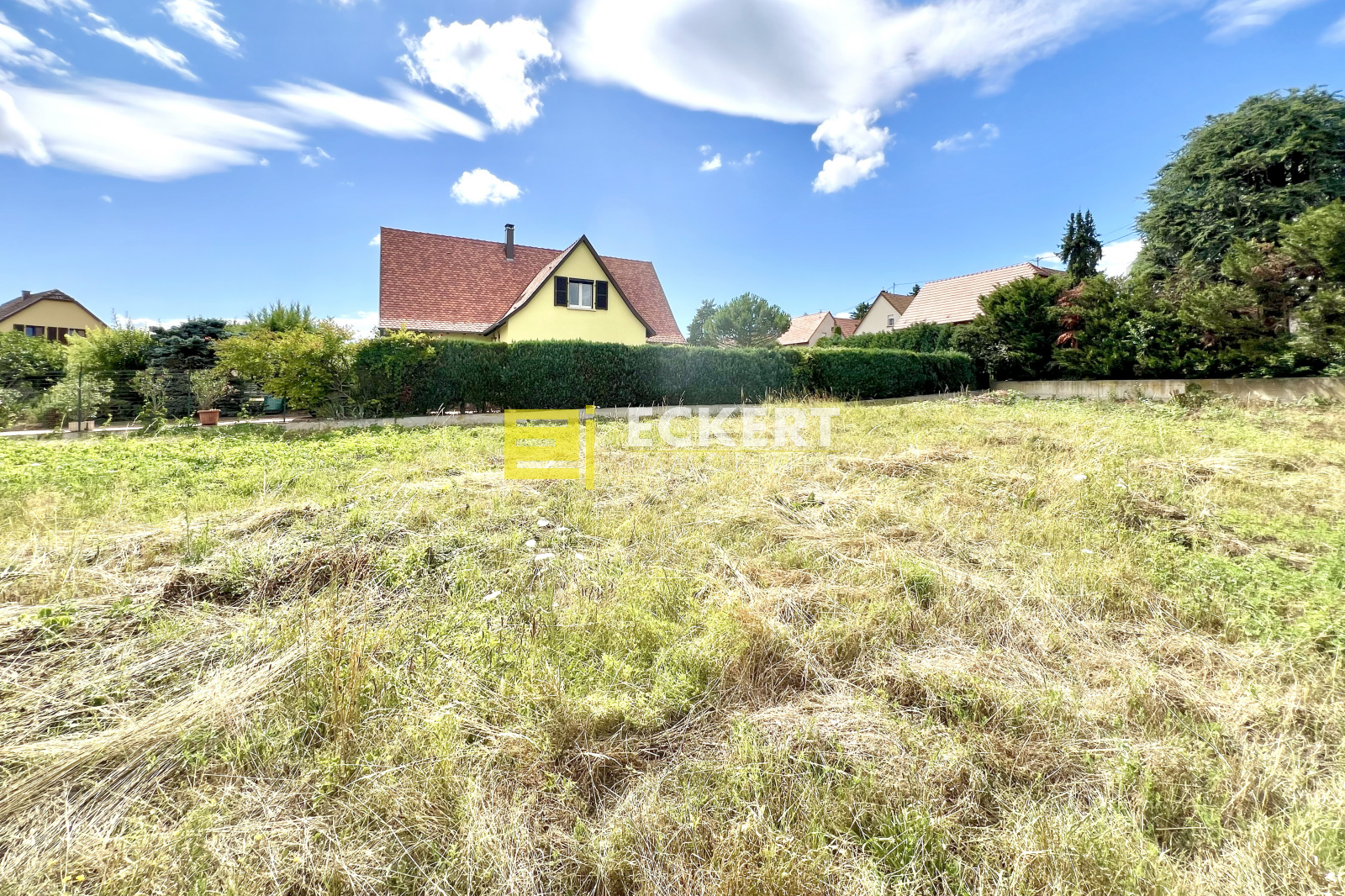 Image_, Terrain, Molsheim, ref :8025